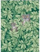 Cole & Son Tapete Foglie e Civette - Forest Green