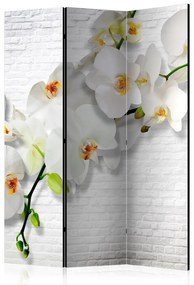 Paravento design Orchidea urbana - orchidee bianche su texture di mattoni