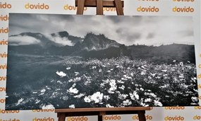 Stampa su tela – Prato di fiori in fiore in bianco e nero