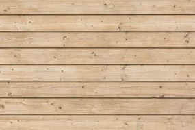 Carta da parati – Motivo di Legno