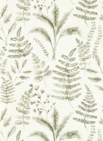 Clarke & Clarke Carta da parati Bracken - Natural