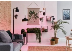 LED Lampadina per la crescita delle piante GROW VERDE R50 E14/4W/230V - Paulmann 28734