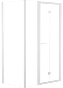 Box doccia con ingresso frontale pieghevole Record L 120 x H 195 cm, vetro 6 mm vetro senza finitura / trasparente profilo bianco spazzolato