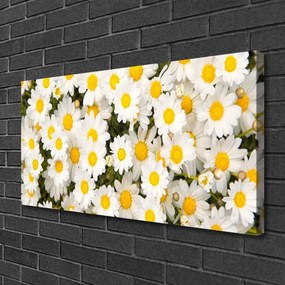 Quadro su tela Fiori di margherite 100x50 cm