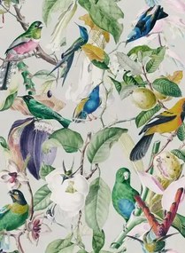 Mindthegap Carta da parati Tropical Birds - WP20172