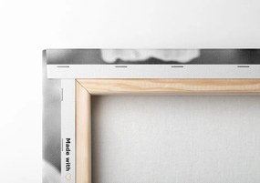 Quadro su tela – Splendido campo di papaveri in bianco e nero