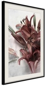 Poster  Burgundy Solace  Cornice Quadri Cornice nera con pass-partout, Larghezza x Altezza Home decor 20x30