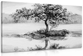 Quadro su tela – Ciliegio orientale in bianco e nero
