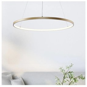 Zuma Line 2023201-GD80 - Lampadario LED su cavo BRENO LED/36W/230V 3000/4000/600