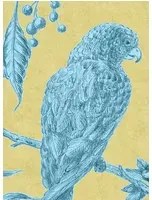 Lewis & Wood Carta da parati Squawk - Curaçao