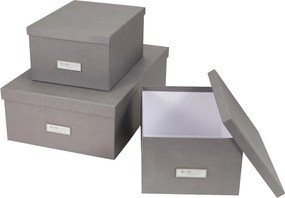 Set di 3 scatole portaoggetti grigie Inge - Bigso Box of Sweden