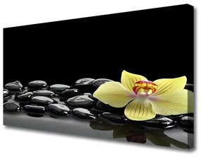 Stampa quadro su tela Fiore da cucina nero 100x50 cm