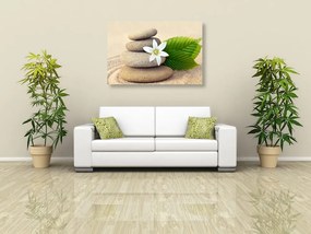 Quadro su tela – Fiore bianco e pietre nella sabbia