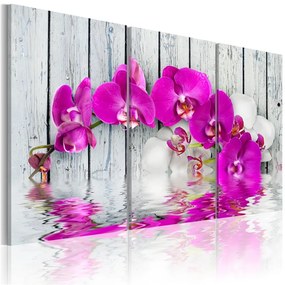 Quadro armonia orchidea trittico