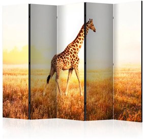 Paravento  giraffe  walk II [Room Dividers]  Colore Bianco, Dimensioni e Misure 225x172