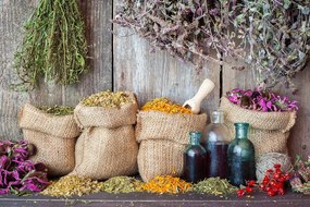 Carta da parati autoadesiva – Erbe medicinali