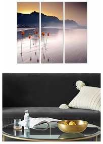 Dipinti in set di 3 pezzi 20x50 cm - Wallity