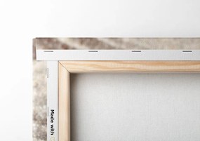 Quadro su tela – Farfalla blu su pietra Zen