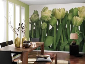 Fotomurale Tulips, multicolore 368 x 254.0 cm