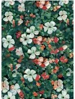 Coordonne Carta da parati Floral Tapestry - Mint