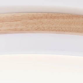 Brilliant - Plafoniera LED dimmerabile BAARLO LED/24W/230V diametro 35 cm bianco