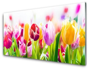 Quadro in vetro acrilico Fiori di tulipani 100x50 cm