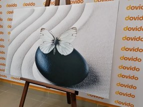 Stampa su tela – Farfalla bianca su pietra nera