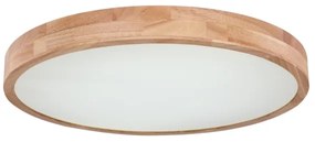 Globo 41745-48 - Plafoniera LED dimmerabile RAINER LED/48W/230V + +TC