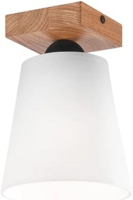 Lampadario a plafone LULA 1xE27/60W/230V quercia