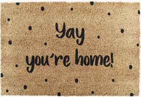 Zerbino Yay You're Home