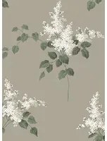 Boras Tapete Lilacs - 7667