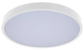 Rabalux 71427 - Plafoniera LED da bagno ALENZO LED/24W/230V IP44 bianco