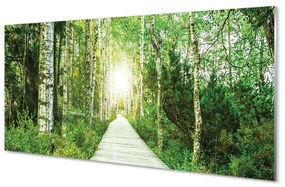 Quadro acrilico Birch Forest Road Birch 100x50 cm