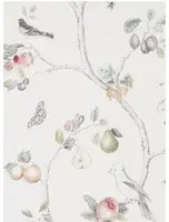 Tapete Fruit Aviary von Sanderson - Cream/ Multi