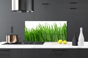 Pannello rivestimento parete cucina Erba, piante, natura 100x50 cm