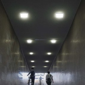 Plafoniera LED LED/6W/230V 6500K 12x12 cm bianco