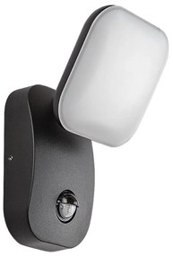 Rabalux 77058-LED Applique da esterno con sensore ODIEL LED/12W/230V IP44