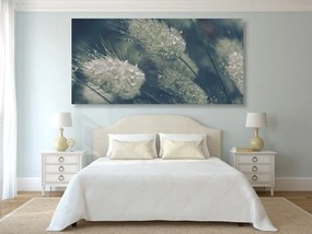 Quadro su tela – Gocce di rugiada sull'erba