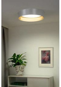 Duolla - Plafoniera LED ROLLER LED/24W/230V diametro 45 cm argento/oro
