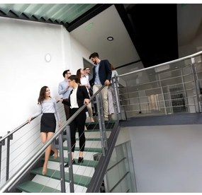 Kanlux 24606 - Lampada LED sens. 2in1 ERGA LED/17W/230V 3000/4000/6500K bianco