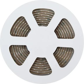 Striscia LED 24V 5W/m Alta Efficienza Professionale - IP67 - 5 metri