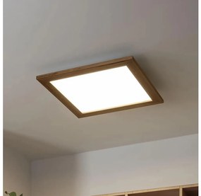 Brilagi - Luce LED dimmerabile SLIMFRAME WOOD LED/36W/230V 49,5x49,5 cm + +TC