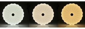 Plafoniera LED dimmerabile FLOWER LED/36W/230V + T