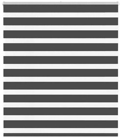 Tenda A Rullo Zebra Nero Larghezza Tessuto 125,9 Cm Poliestere /