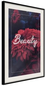 Poster Beauty of the Flowers