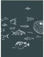 Coordonne Carta da parati panoramica Sea Current - Navy
