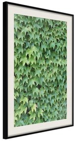 Poster  Hidden  Cornice Quadri Cornice nera con pass-partout, Larghezza x Altezza Home decor 40x60