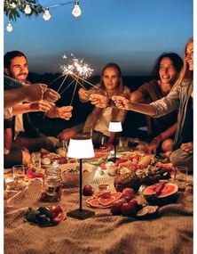 Immax 08492L - Lampada solare da esterno dimmergibile LED/4W/5V IP44