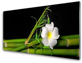 Quadro acrilico Pianta di fiori di bambù 100x50 cm