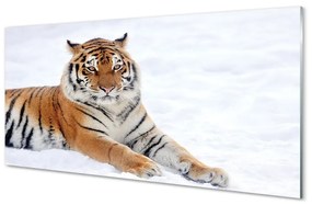 Quadro di vetro La neve invernale della tigre 100x50 cm